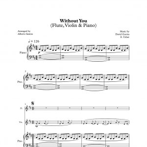 Without You - David Guetta ft. Usher (Piano, Violin & Flute)